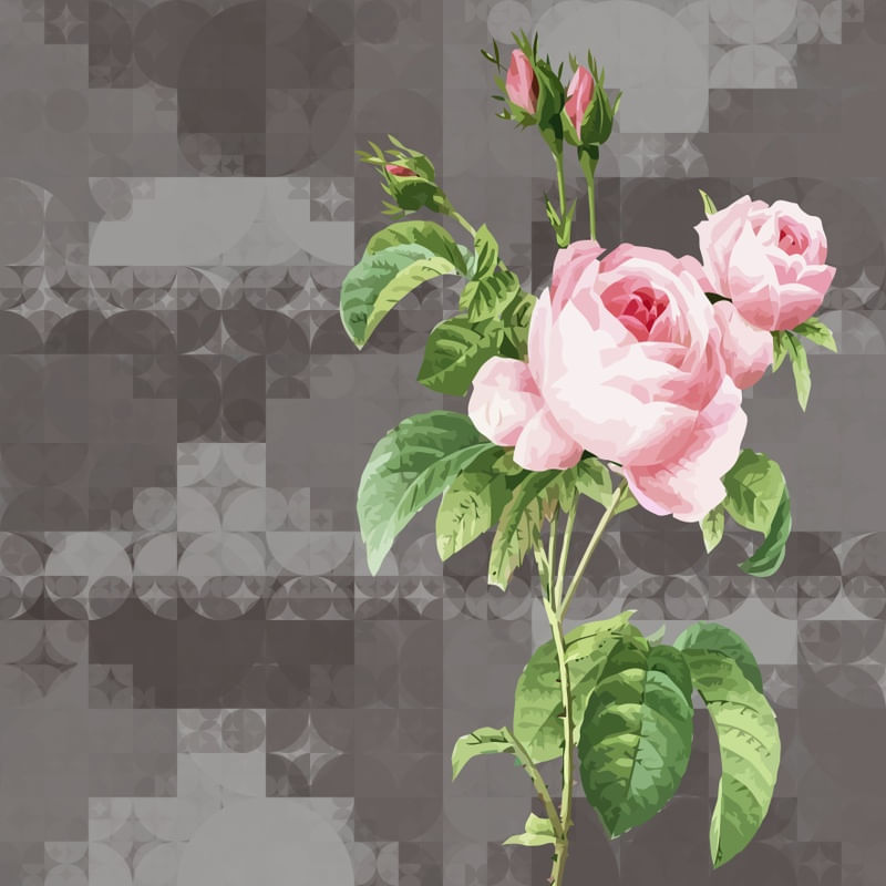 O NOME DA ROSA