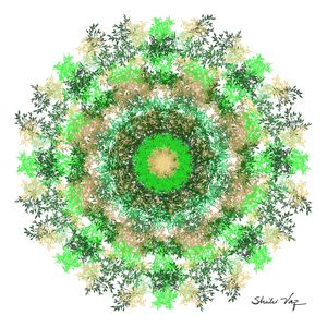 MANDALA ÁRVORE