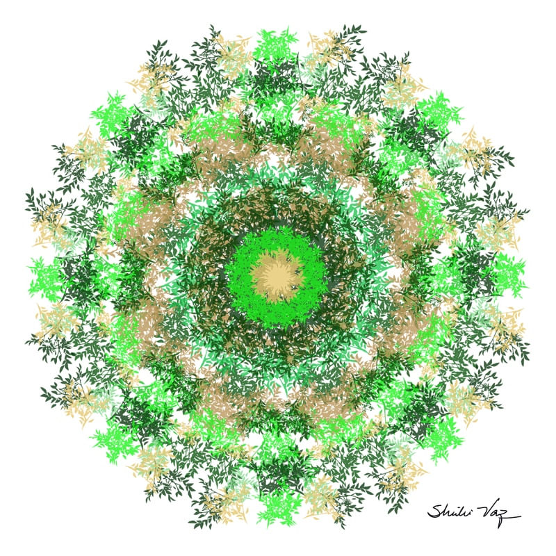 MANDALA ÁRVORE