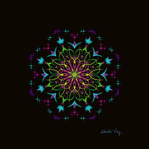 MANDALA ILUMINADA