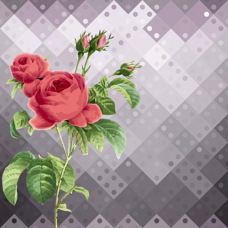 O NOME DA ROSA II