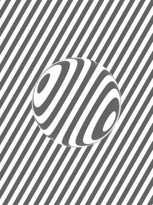 DISTORÇÃO ÓPTICA #1
