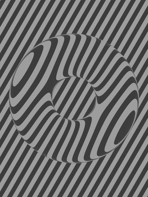 DISTORÇÃO ÓPTICA #2