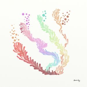 FLUIR COLORIDO