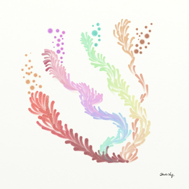 FLUIR COLORIDO