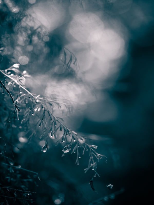 RAINDROPS 2