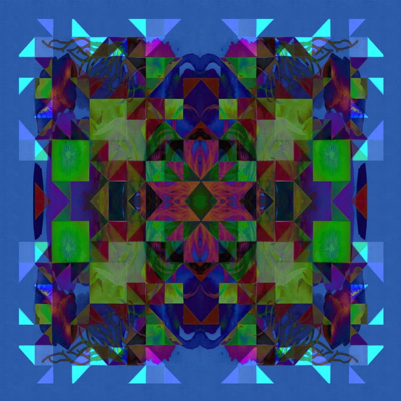 ORGÂNICO X GEOMÉTRICO 04