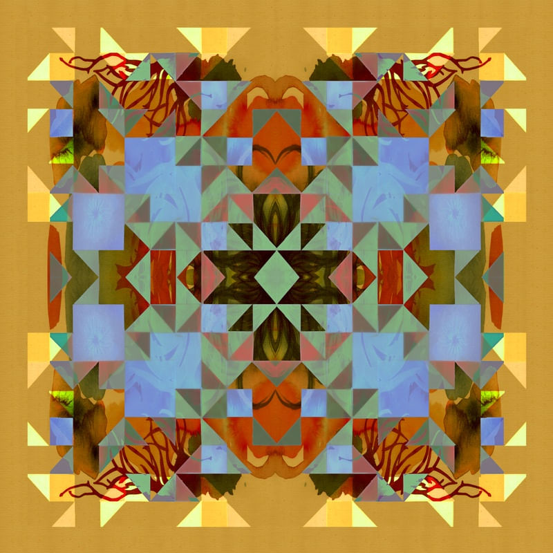 ORGÂNICO X GEOMÉTRICO 01