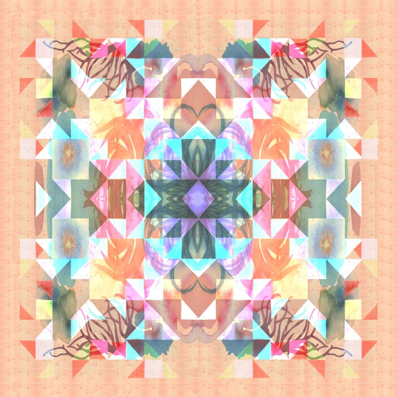 ORGÂNICO X GEOMÉTRICO 03