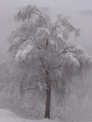 CHAMONIX-MONT-BLANC