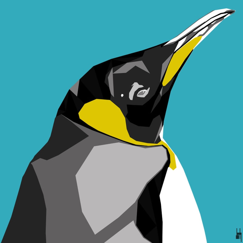 KING PENGUIN