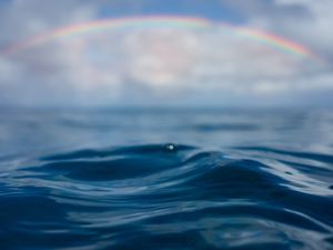 SEA RAINBOW