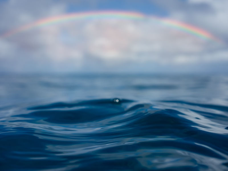 SEA RAINBOW
