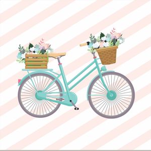 MINHA BICICLETA