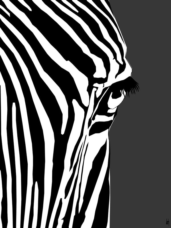 ZEBRADO
