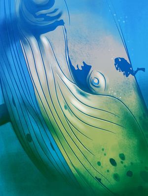 BLUE CONTACT