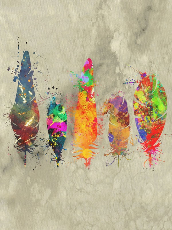 PAINTED FEATHERS