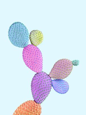 COLOR CACTUS