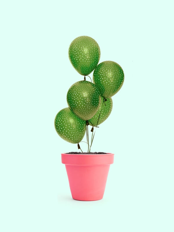 CACTUS BALLOON