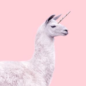 UNICORN LAMA