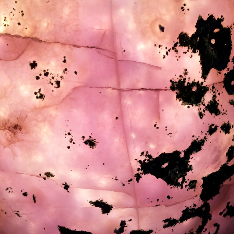 NOTHING PINK