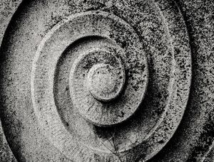 CARACOLOR