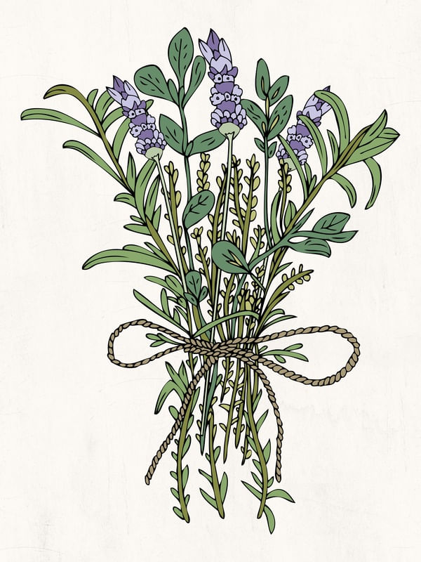 HERBAL BUNCH APOTHECARY