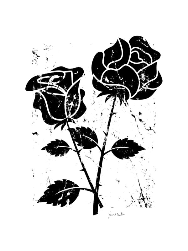 ROSES BLACK 01
