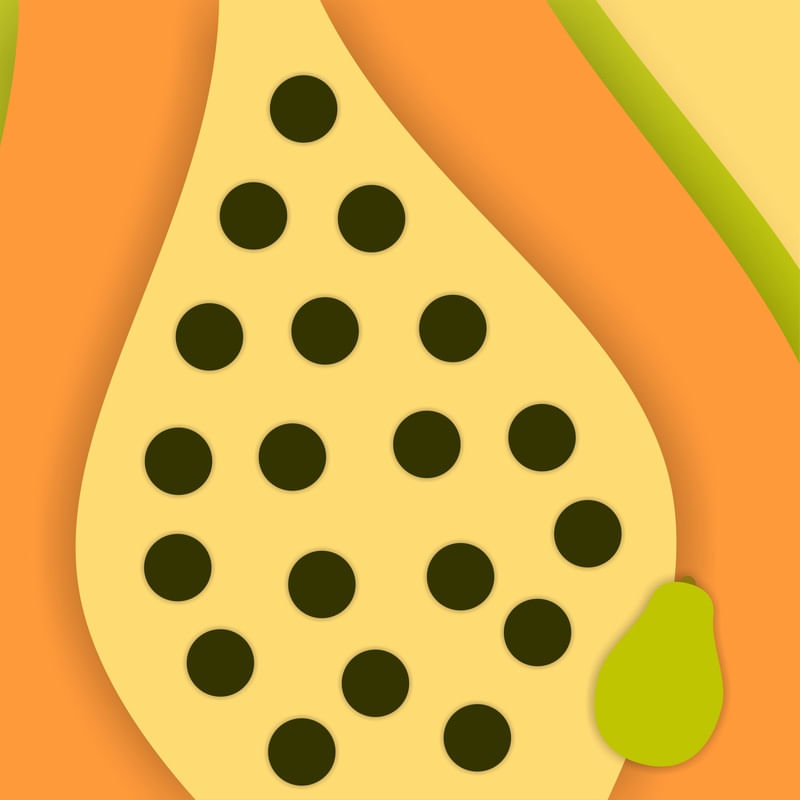 FRUTA - MAMÃO