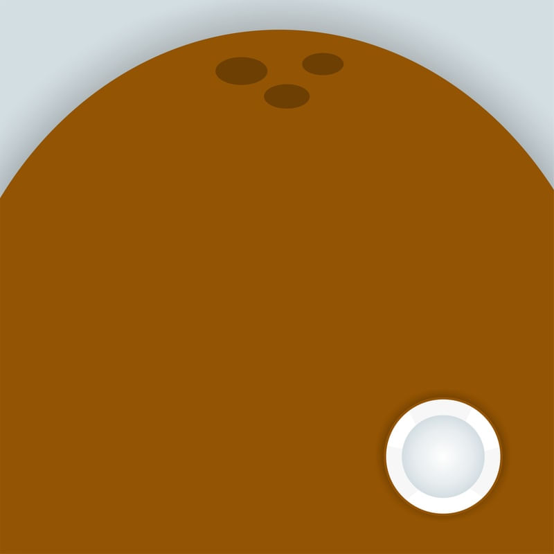 FRUTA - COCO