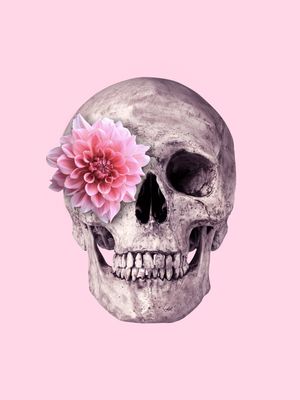PINK FLOWER SKULL