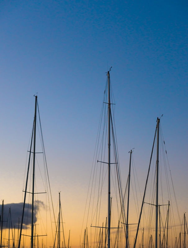 SAIL NZ