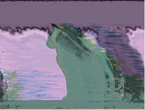 CAT GLITCH 4