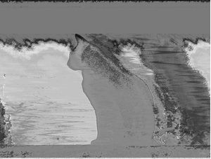 CAT GLITCH 5