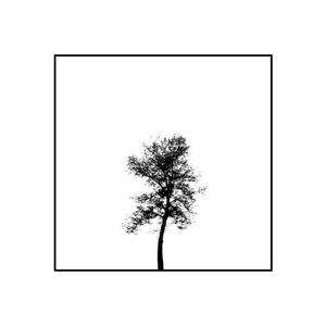 MINIMAL TREE III