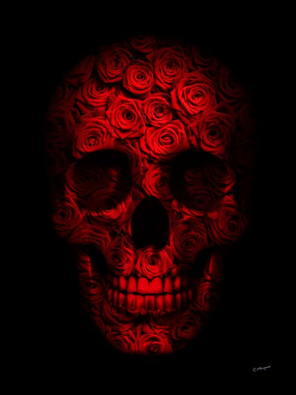 SKULL ROSES AND BLACK