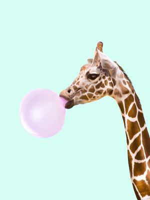 BUBBLEGUM GIRAFFE