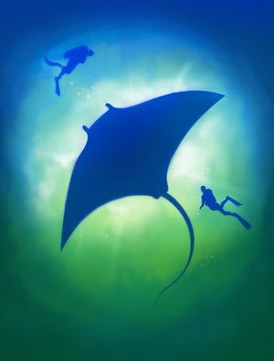 BLUE MANTA