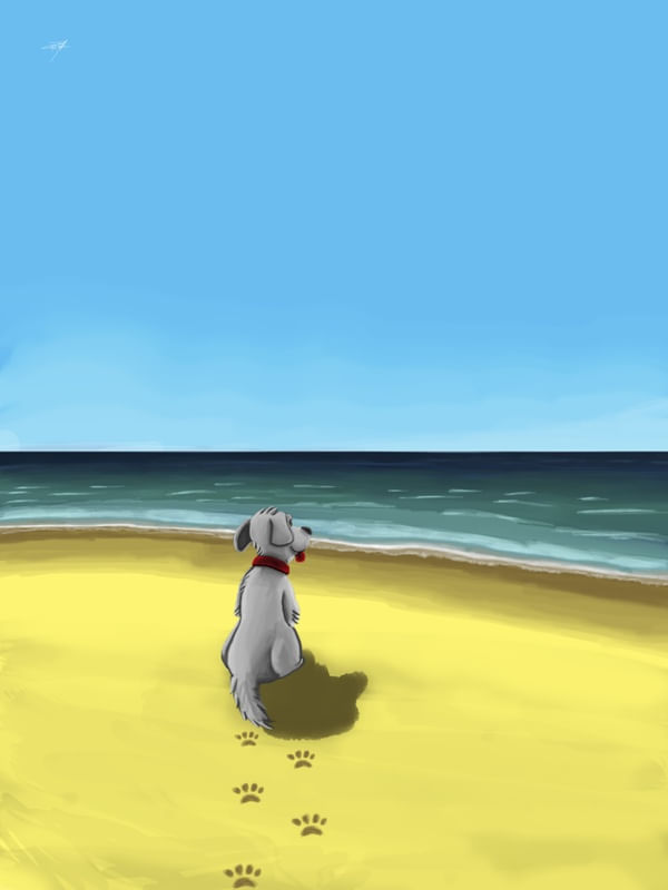 CACHORRO NA PRAIA