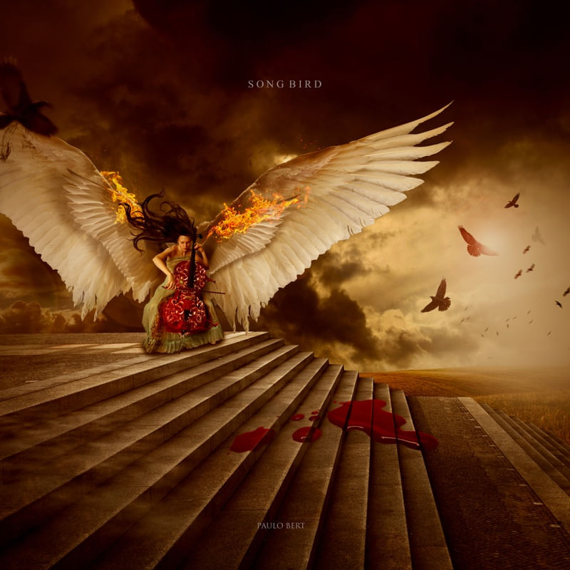 SONGBIRD