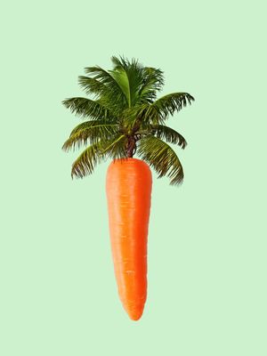 PALM CARROT