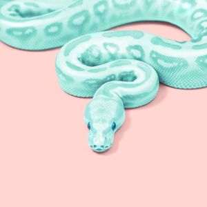 GREEN SNAKE