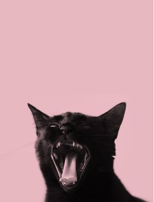 MISTI PINK