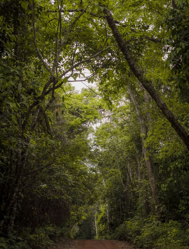 CHAPADA DOS GUIMARÃES 09