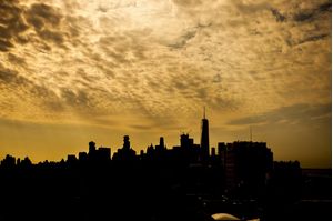 NY SKYLINE ACS
