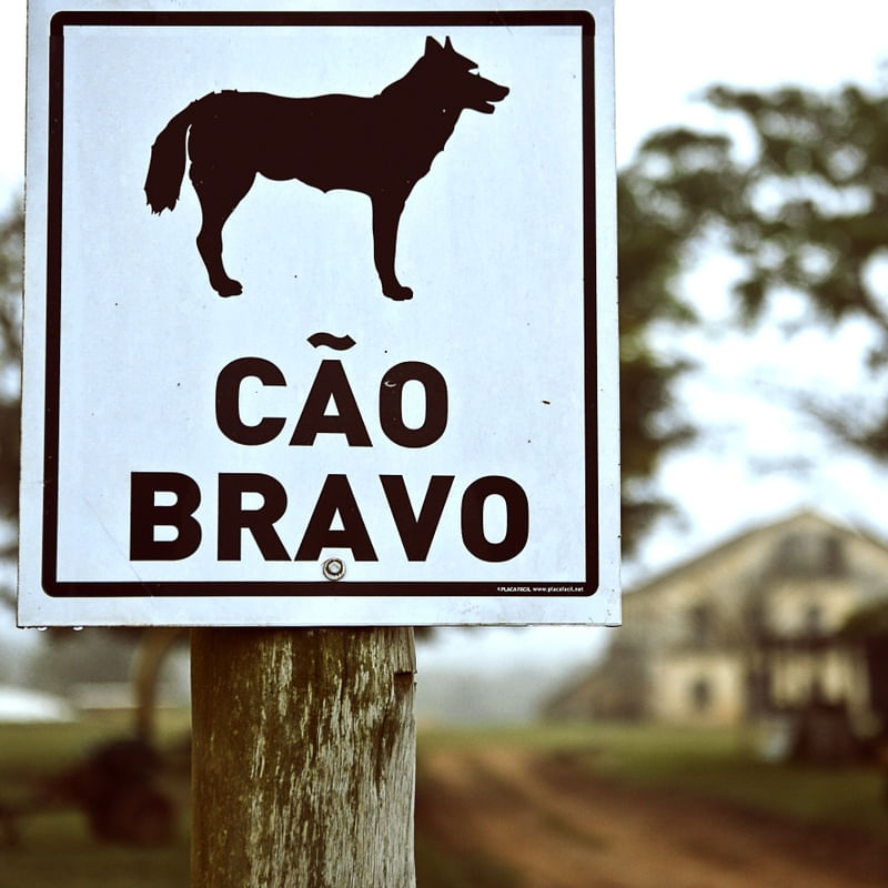 CÃO BRAVO - PERIGO