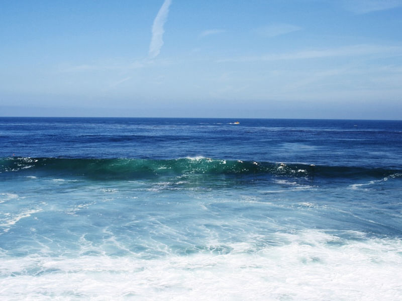 LA JOLLA