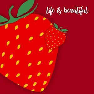 LIFE IS BEAUTIFUL BA II