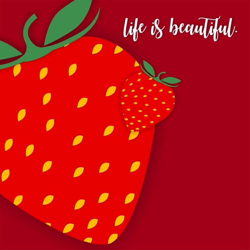 LIFE IS BEAUTIFUL BA II
