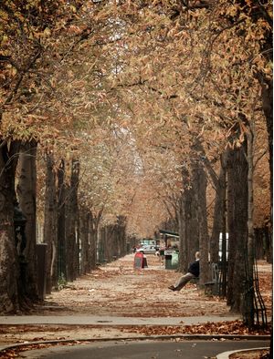 BOULEVARD DE OUTONO EM PARIS